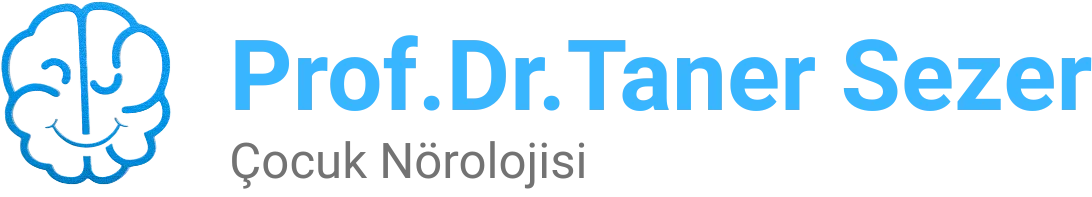 Prof. Dr. Taner Sezer